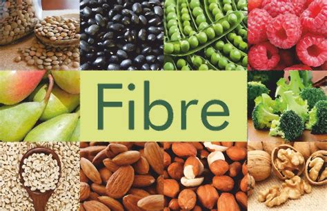 fibre in English .